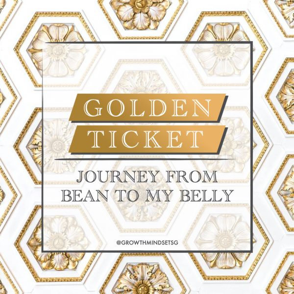 Golden Ticket: Journey from Bean to My Belly